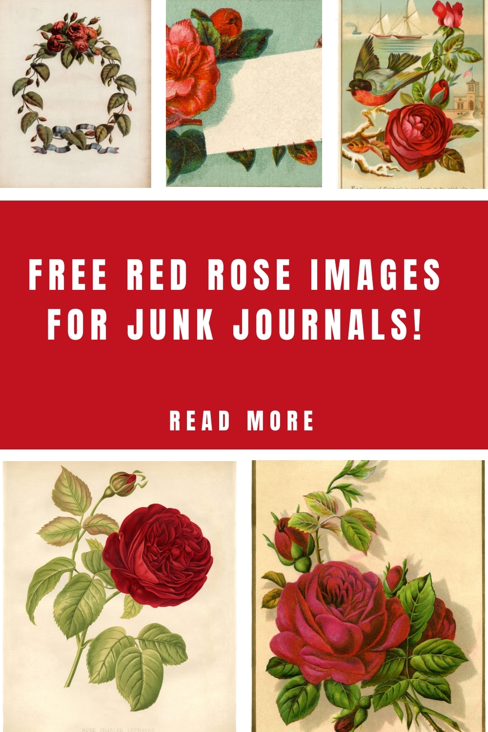 12 Red Rose Images Pictures And Printables The Graphics Fairy