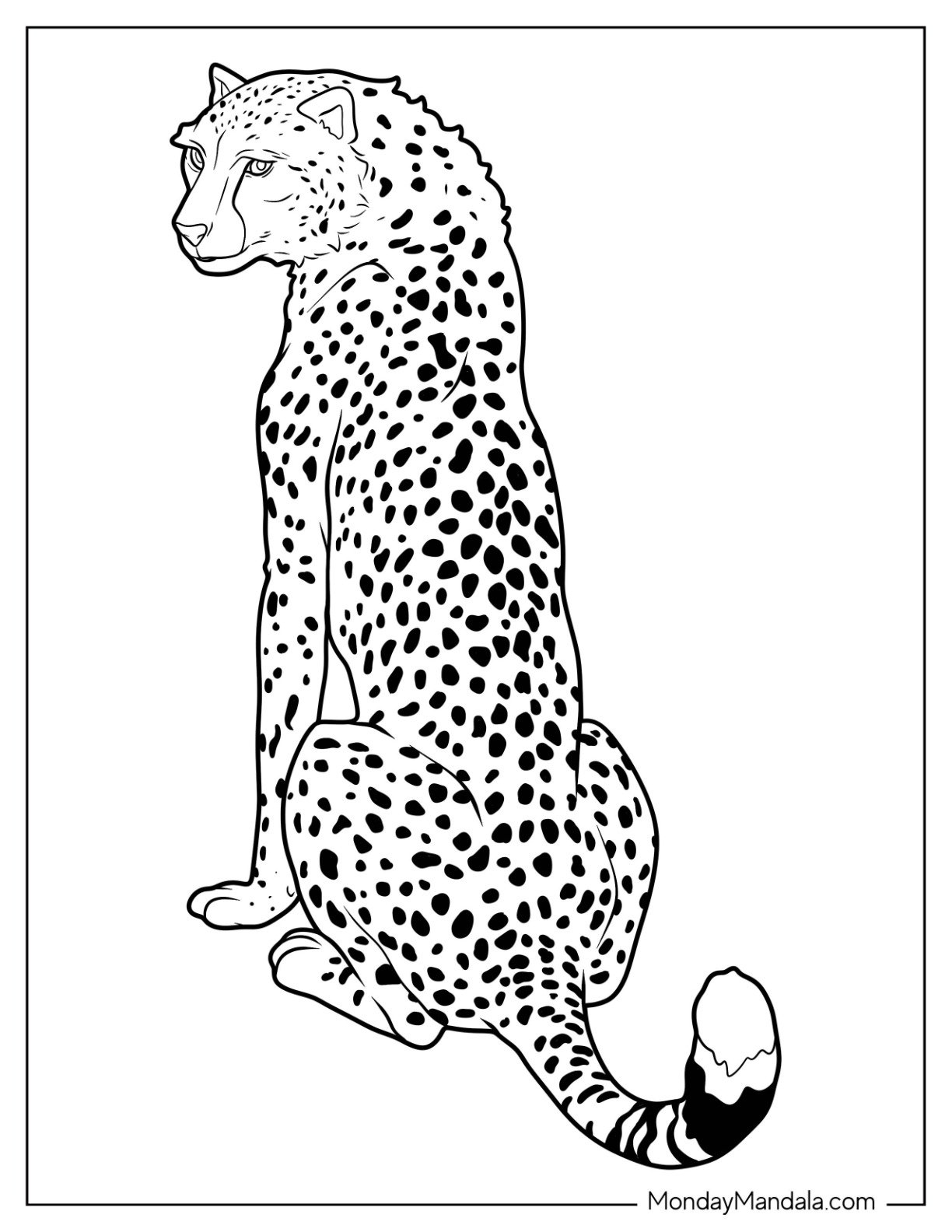 20 Cheetah Coloring Pages Free PDF Printables  20 Cheetah Coloring Pages Free PDF Printables