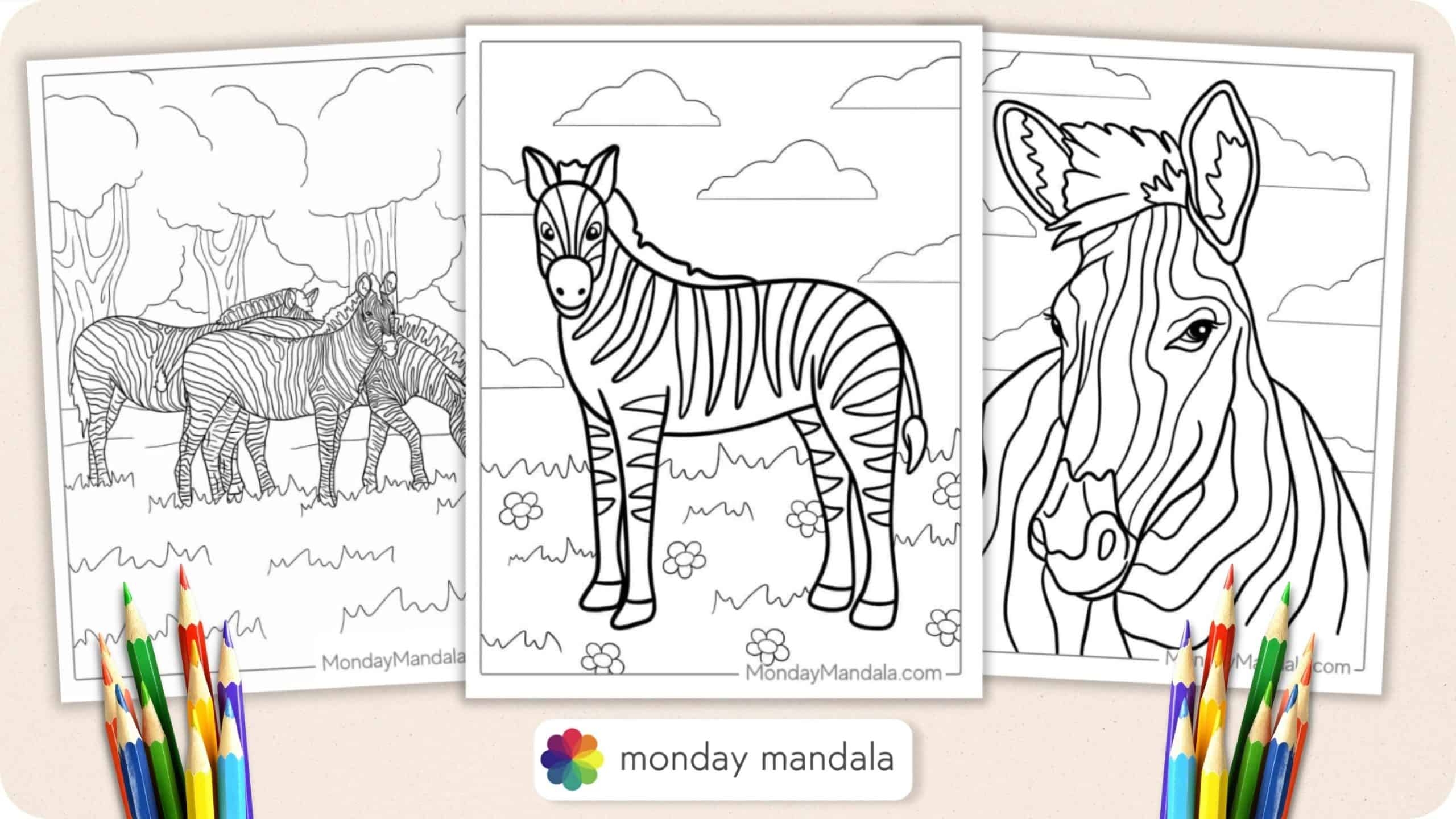 20 Zebra Coloring Pages Free PDF Printables  20 Zebra Coloring Pages Free PDF Printables