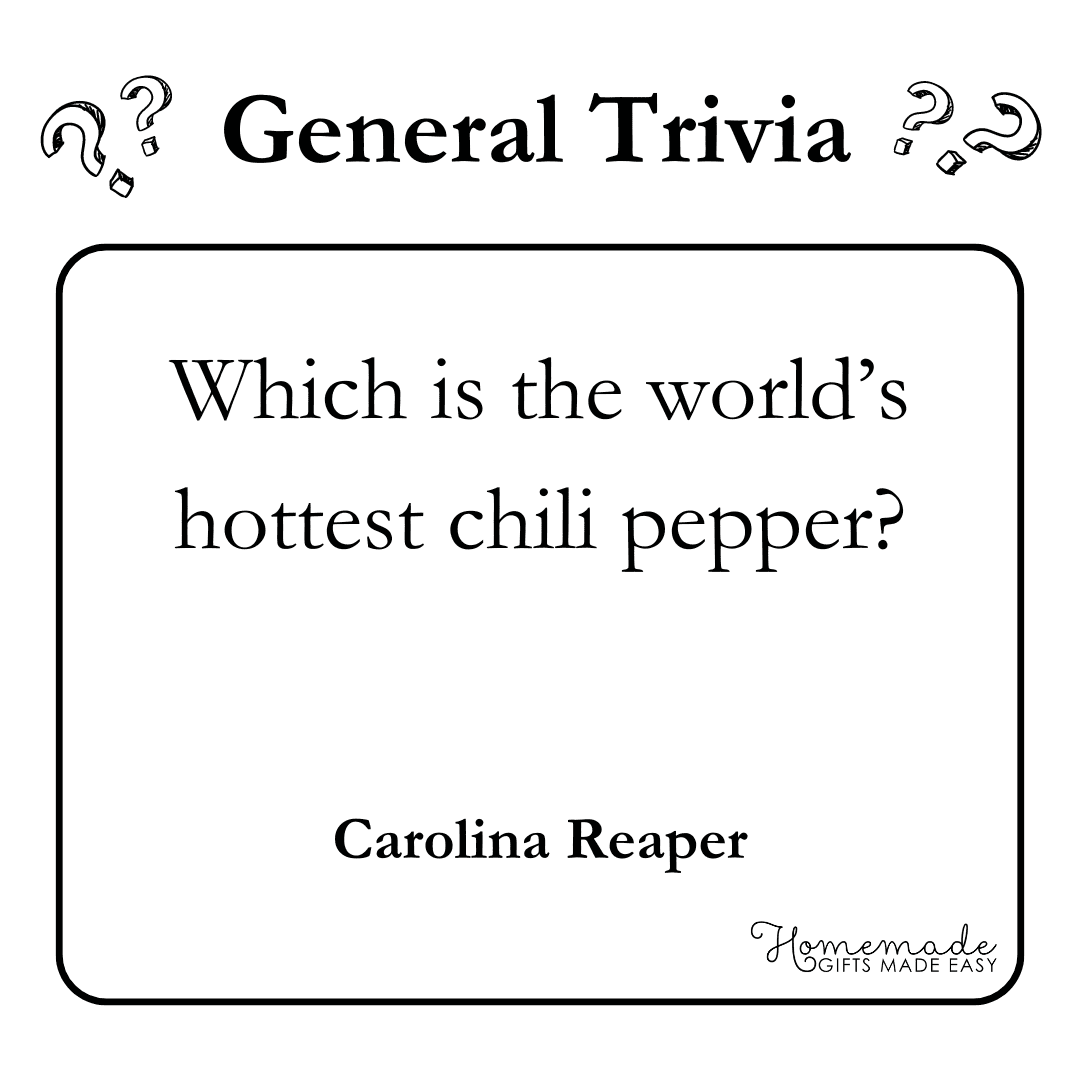 printable trivia worksheets