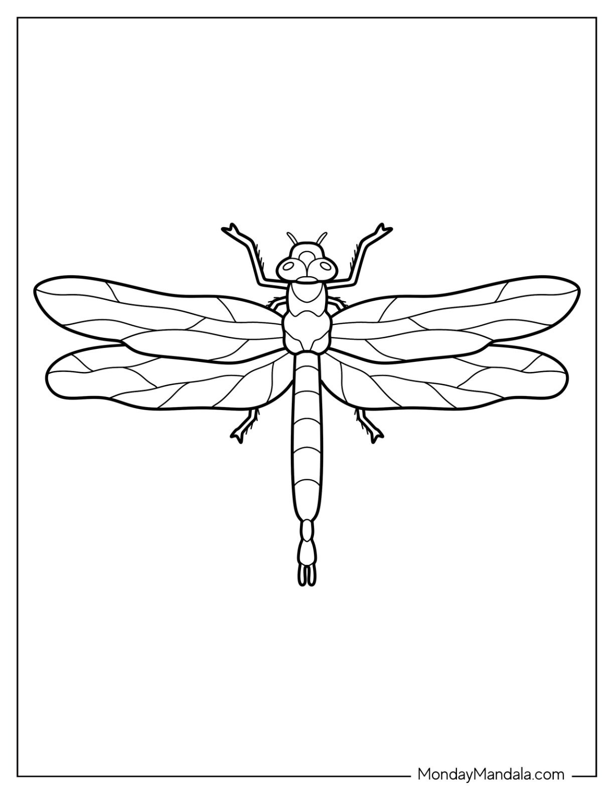 21 Dragonfly Coloring Pages Free PDF Printables  21 Dragonfly Coloring Pages Free PDF Printables