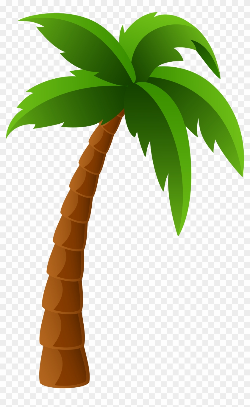 28 Collection Of Palm Tree Clipart Free HD Png Download 6139x9697 433717 PngFind