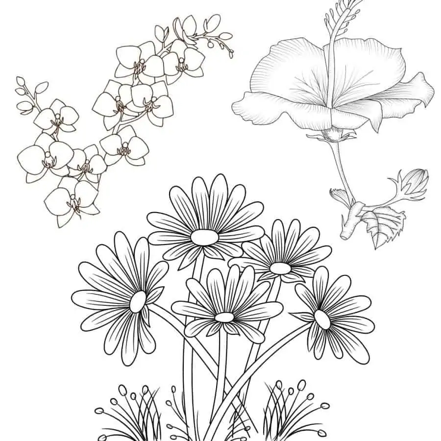 47 Best Flower Coloring Sheets For Free Artsy Pretty Plants