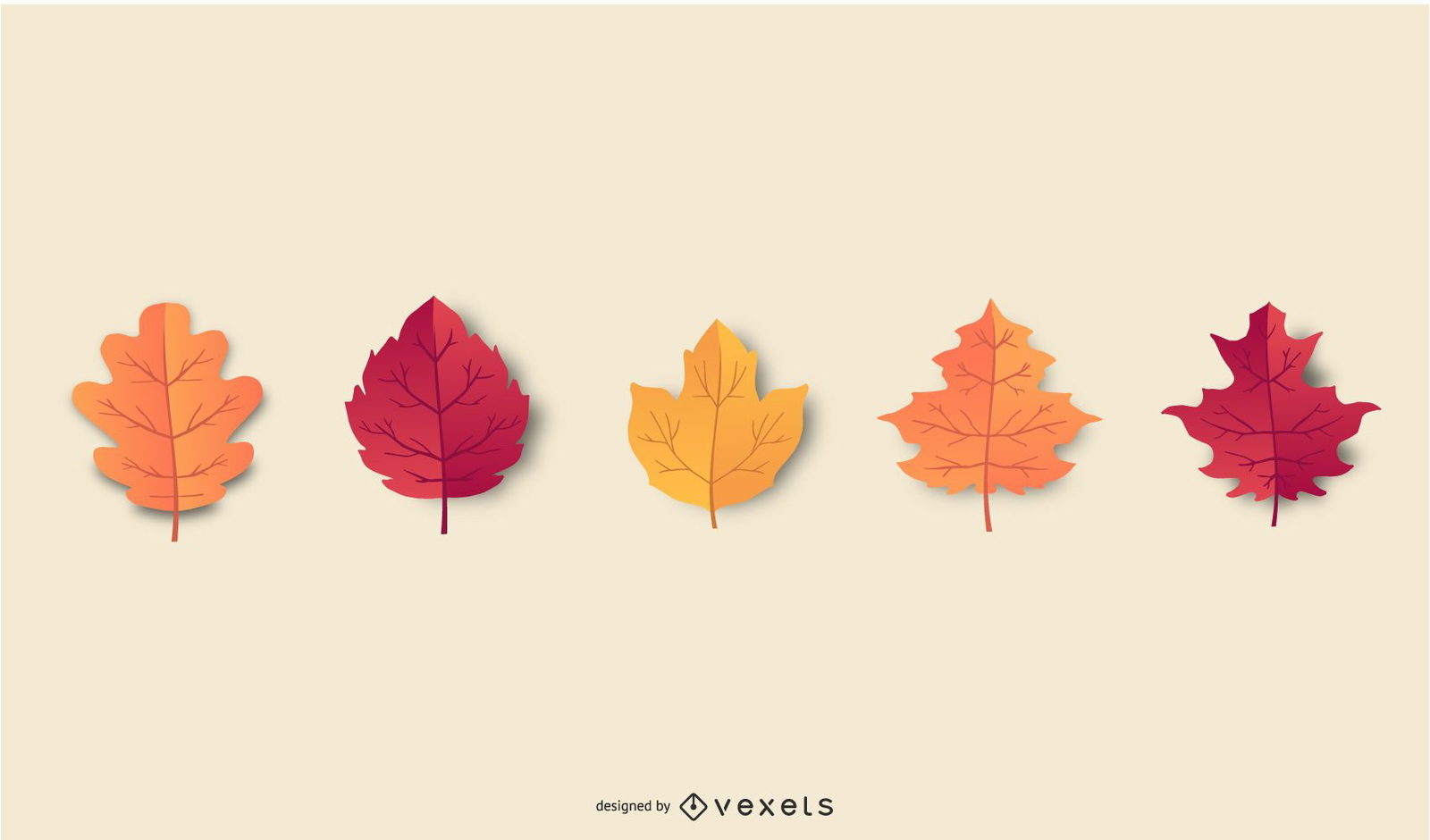 Autumn Leaves 2 Vector Download