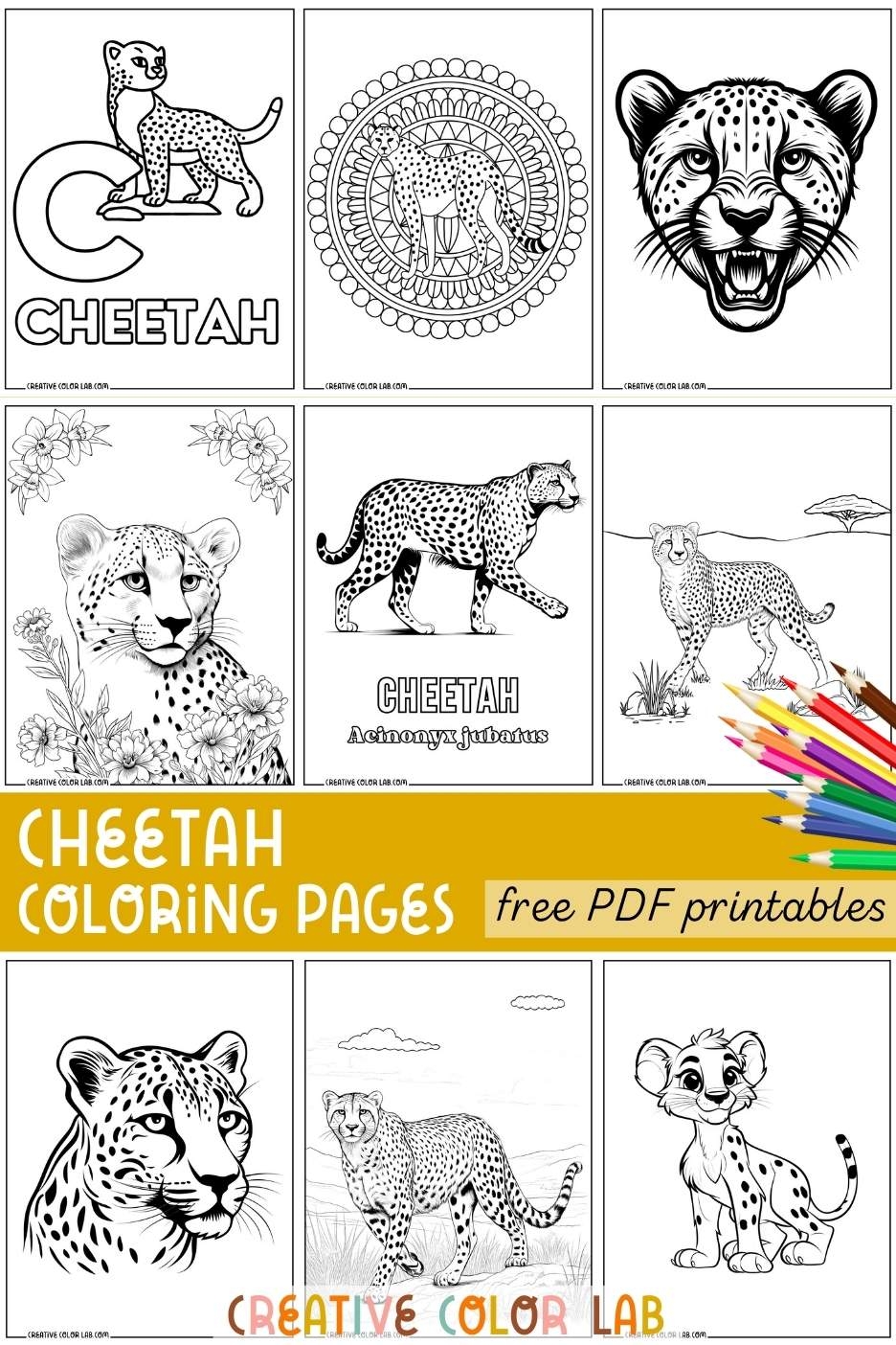 Cheetah Coloring Pages Free Printable PDFs Cheetah Coloring Pages Free Printable PDFs