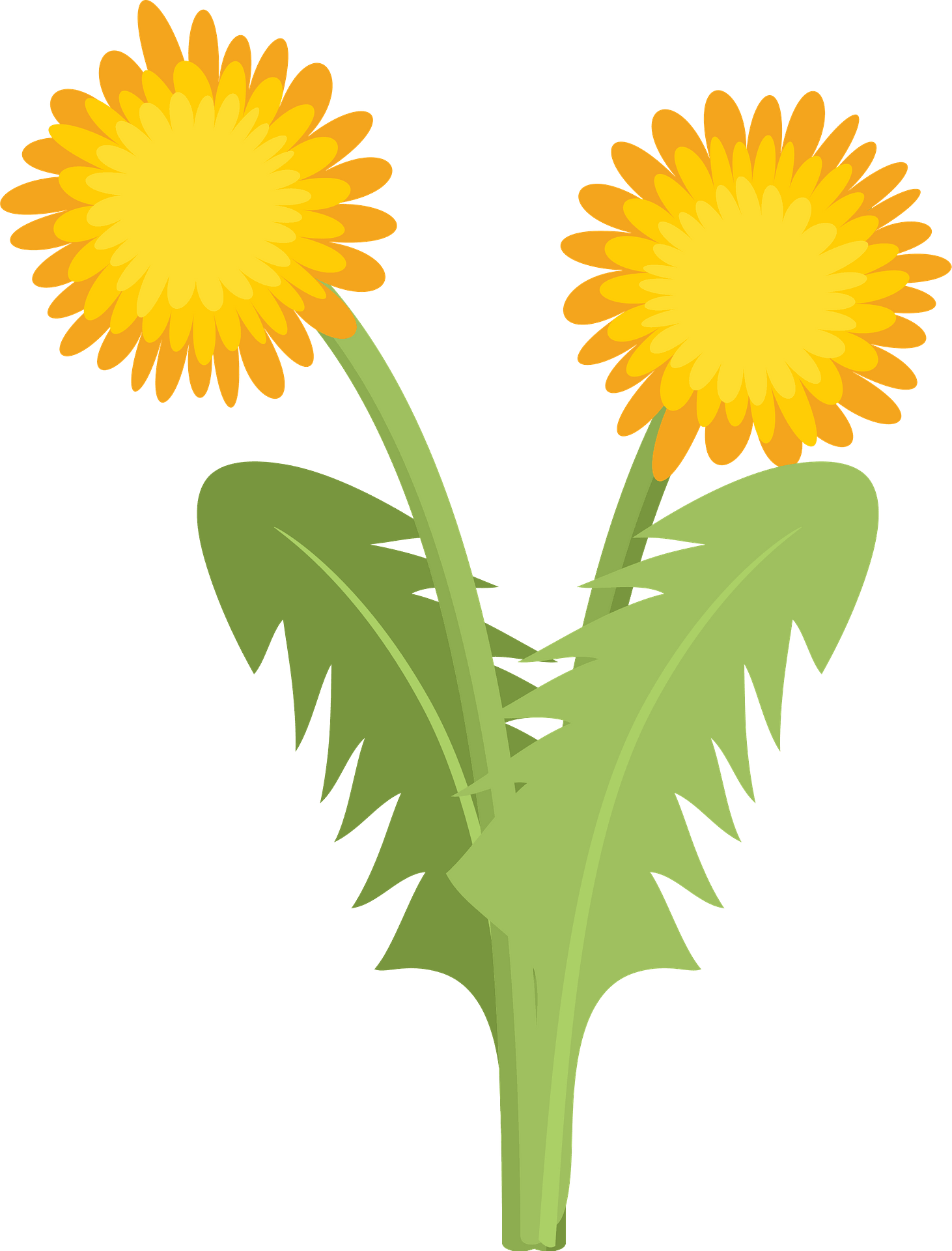 free printable flower yellow dandelion