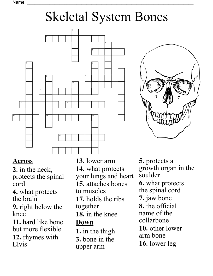 Fencing Terms Crossword WordMint