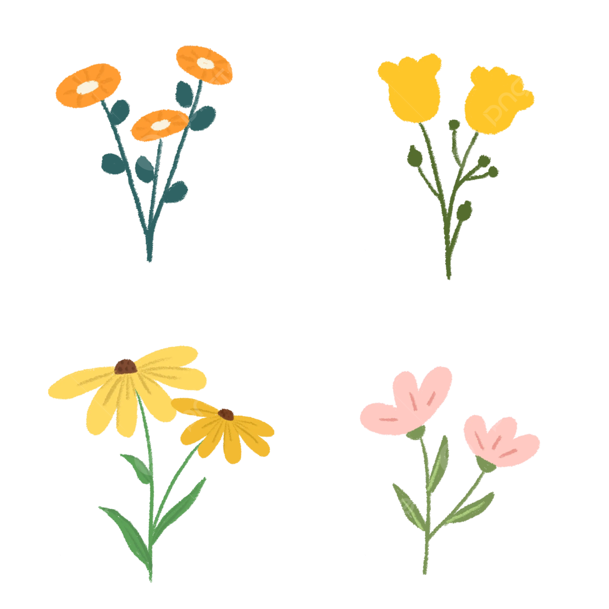Floral Spring Colorful Printable Flower Spring Colorful PNG 