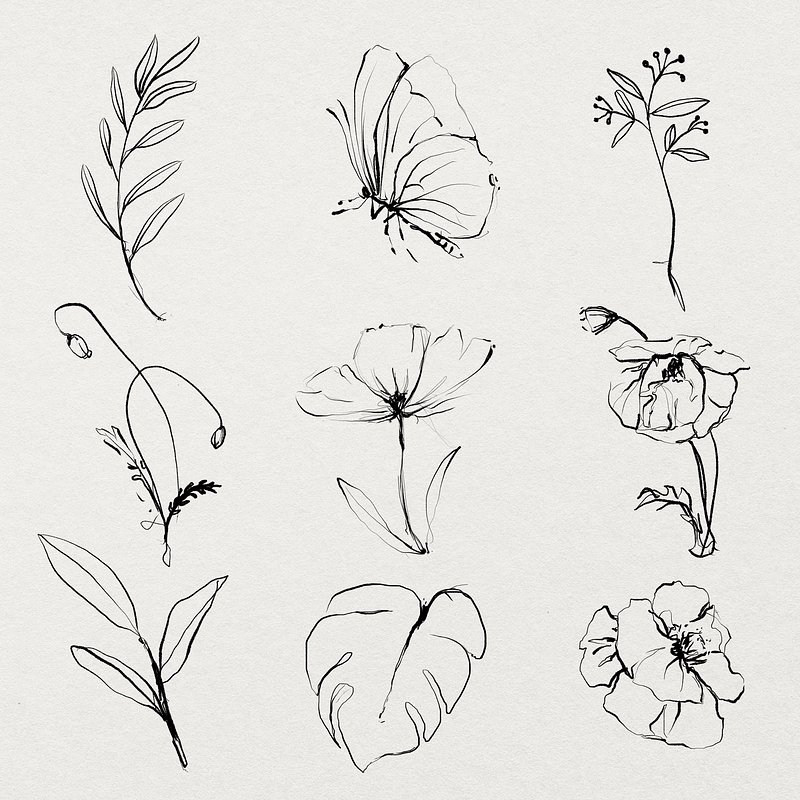 Flower Doodle Vectors Free Illustrations Drawings PNG Clip Art 