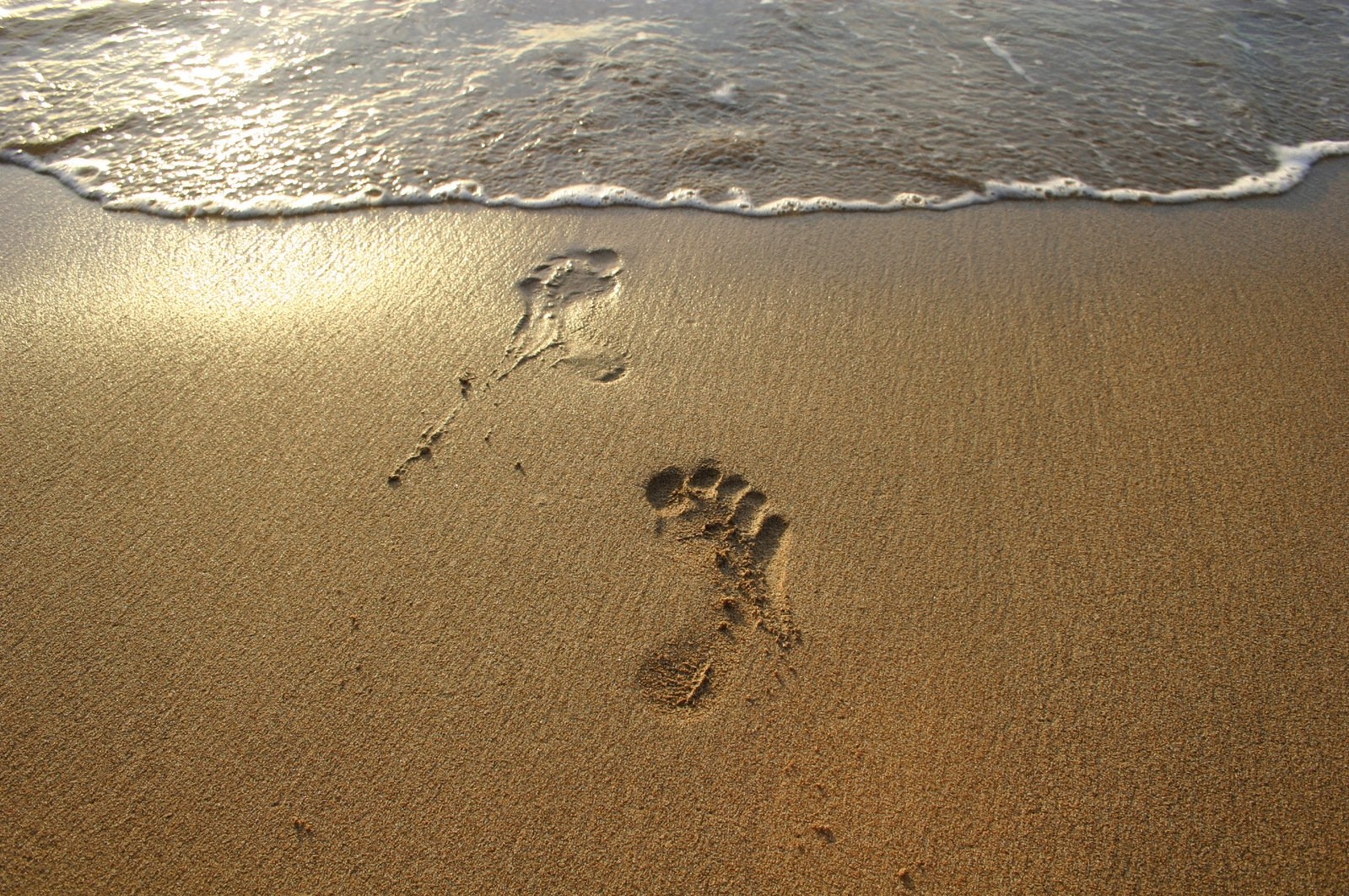 Free Footprint In The Sand Stock Photos U0026 Pictures FreeImages