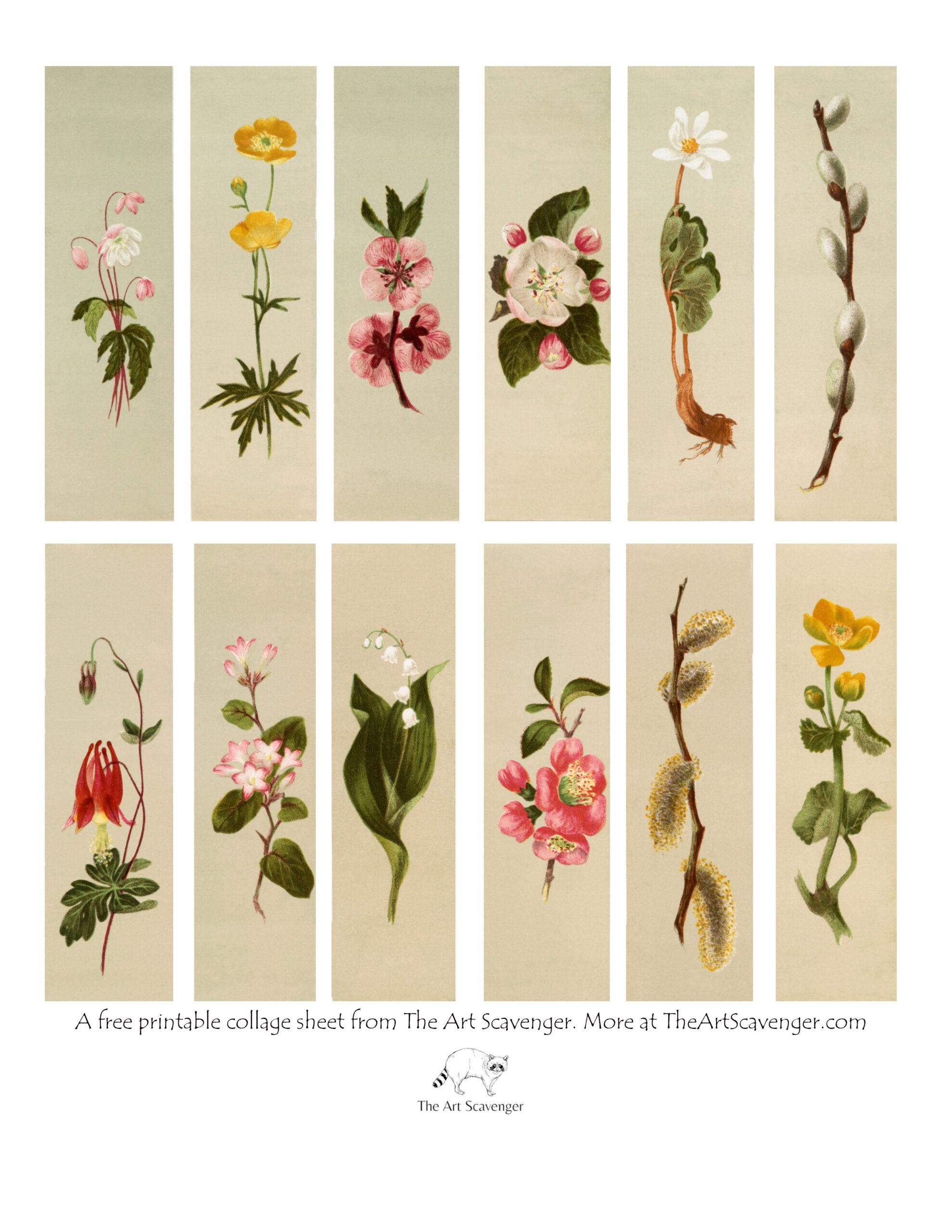 Free Printable Floral Strips Vintage Botanical Ephemera For Junk Journals U0026 Mixed Media The Art Scavenger