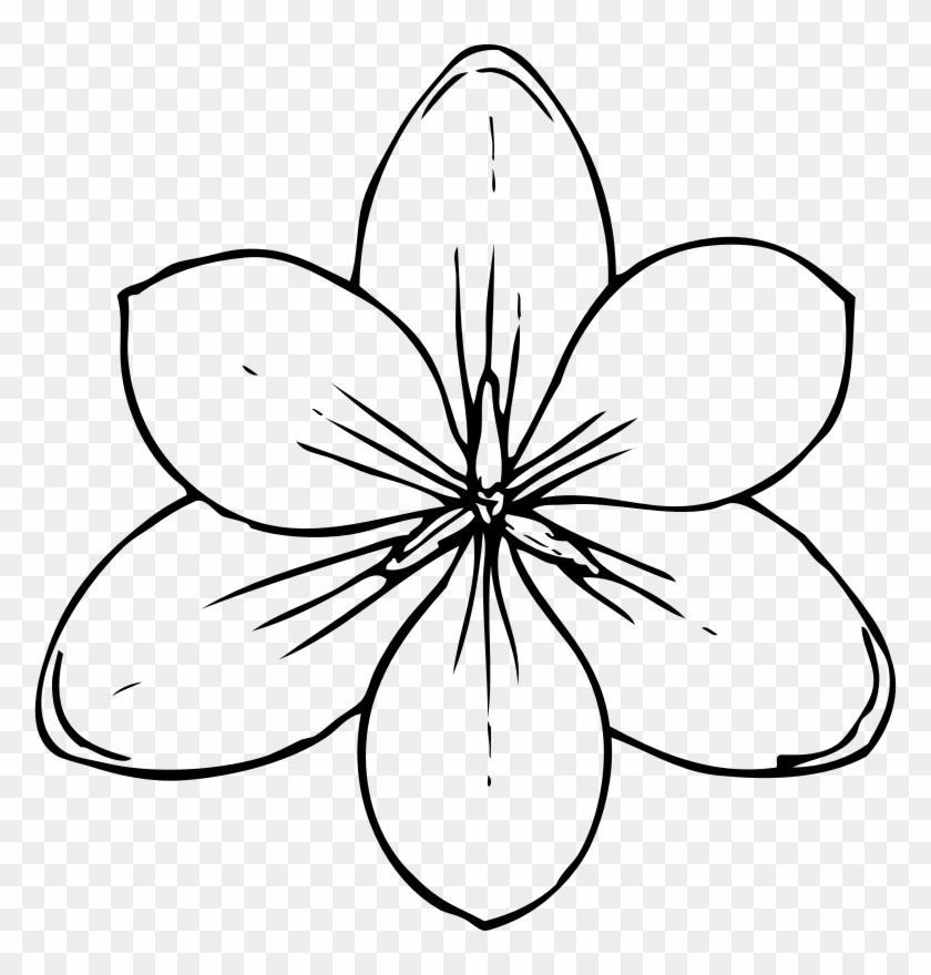 free printable flower