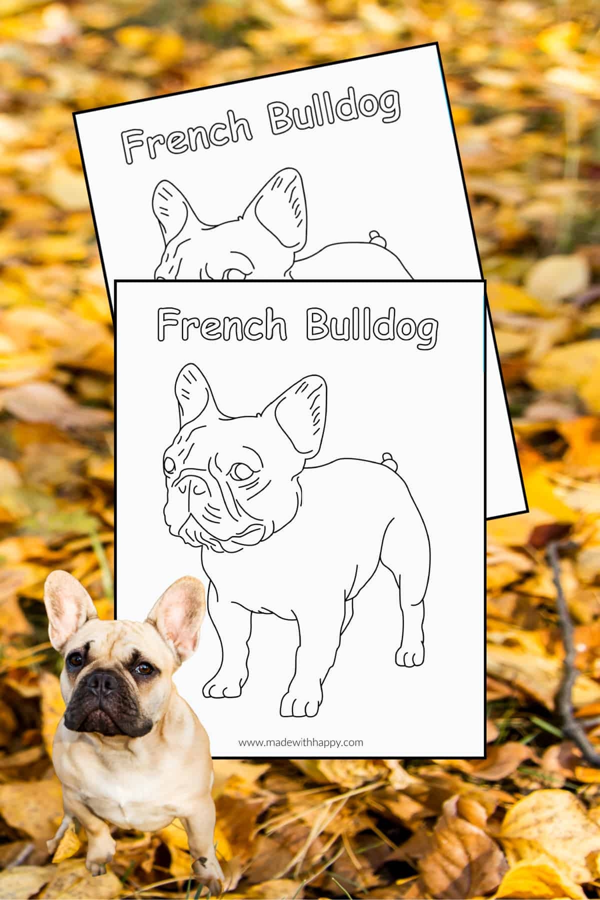 Free Printable French Bulldog Coloring Page Made With HAPPY Free Printable French Bulldog Coloring Page Made With HAPPY