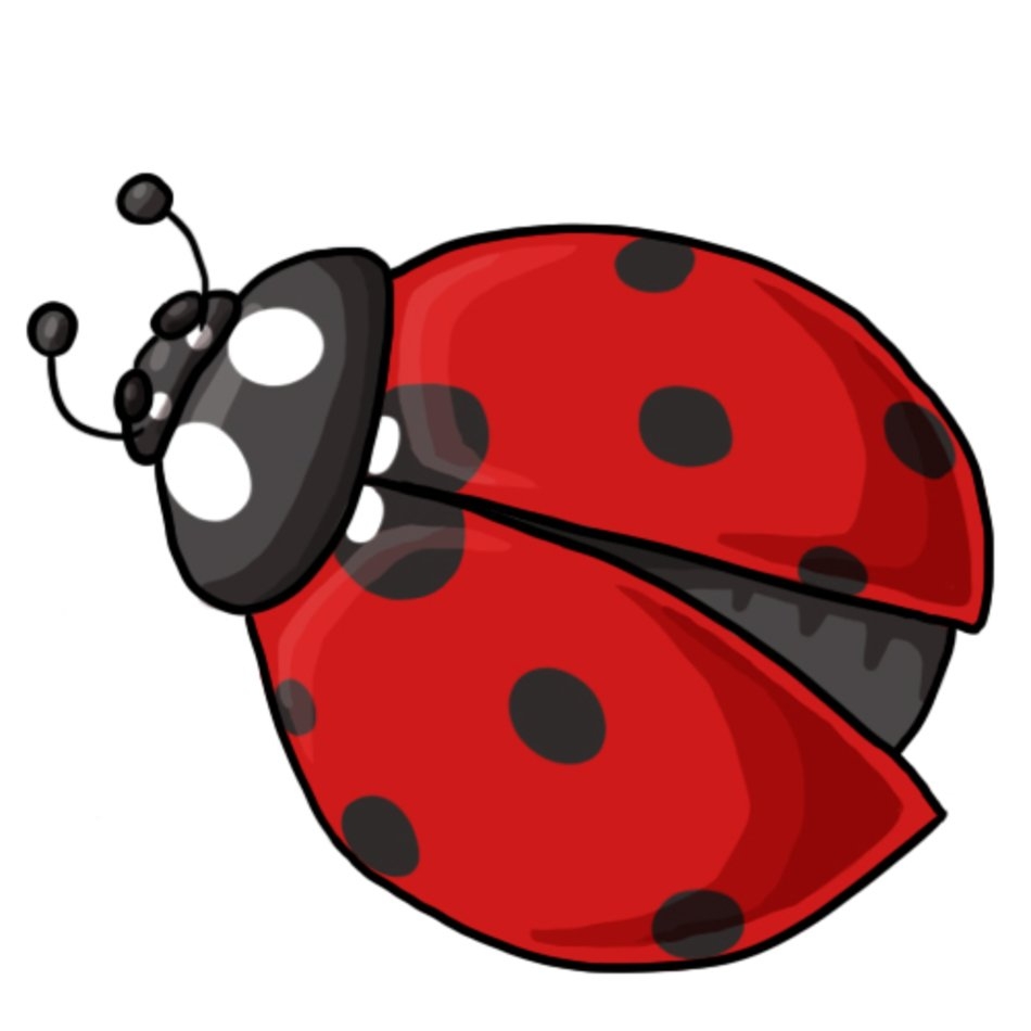 free printables ladybug free printables ladybug