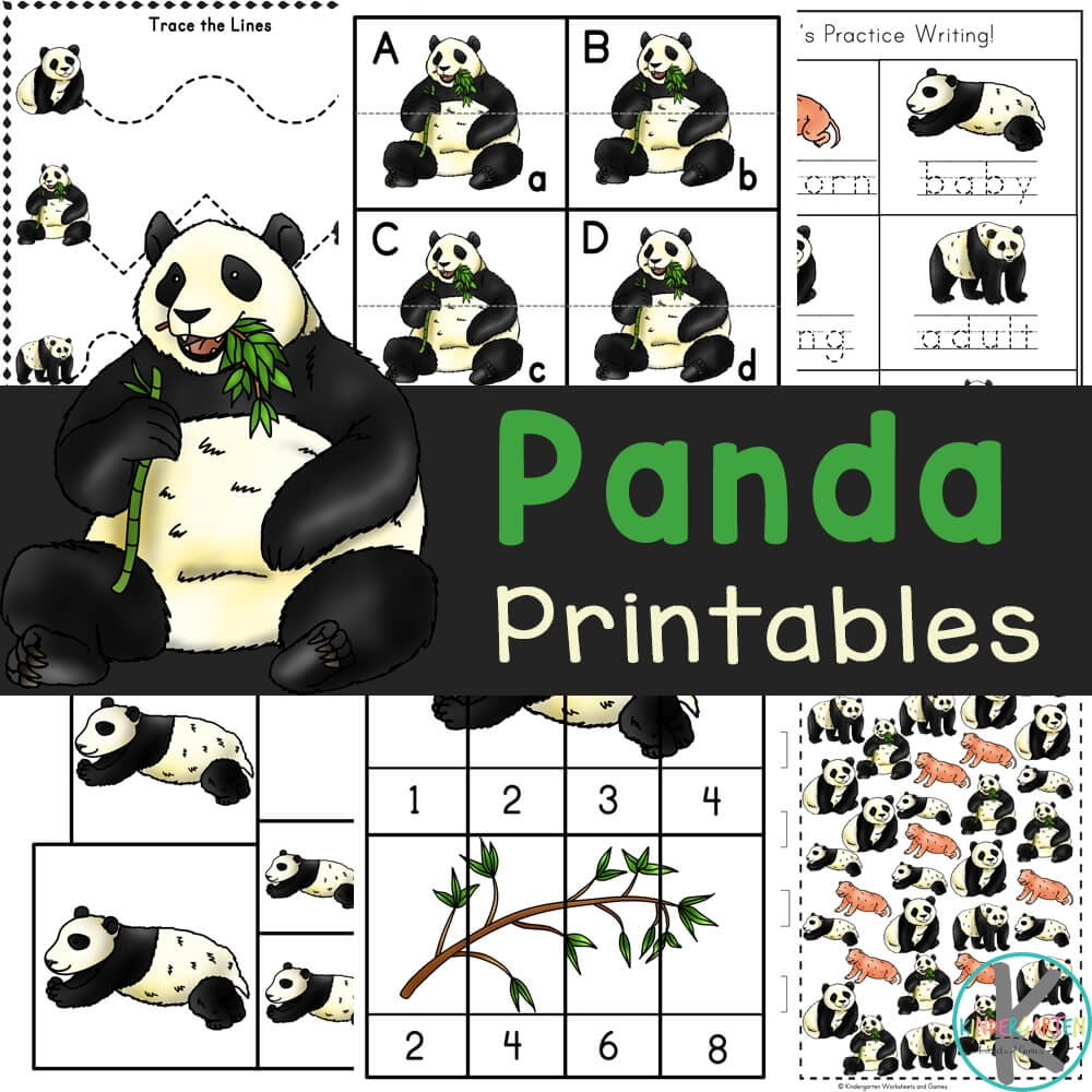 Free Printable Panda Worksheets w Life Cycle And Coloring Pages   Free Printable Panda Worksheets w Life Cycle And Coloring Pages
