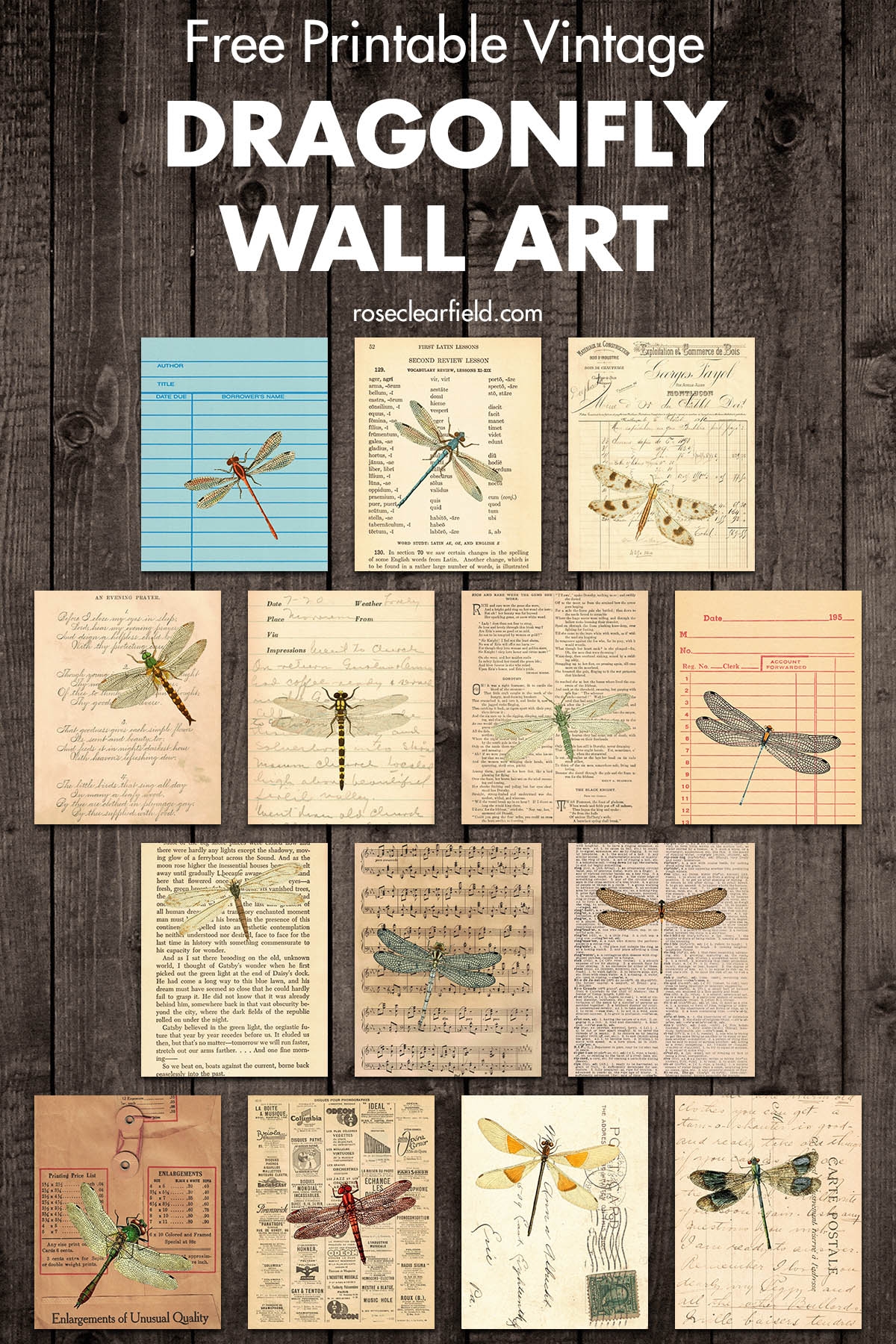 free printables dragonfly free printables dragonfly