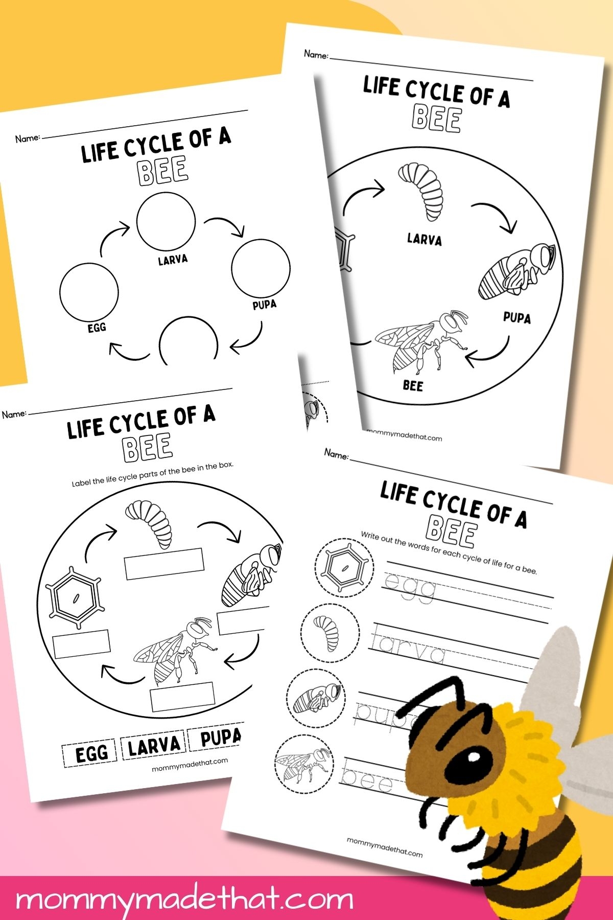Life Cycle Of A Bee Worksheets Free Printables  Life Cycle Of A Bee Worksheets Free Printables