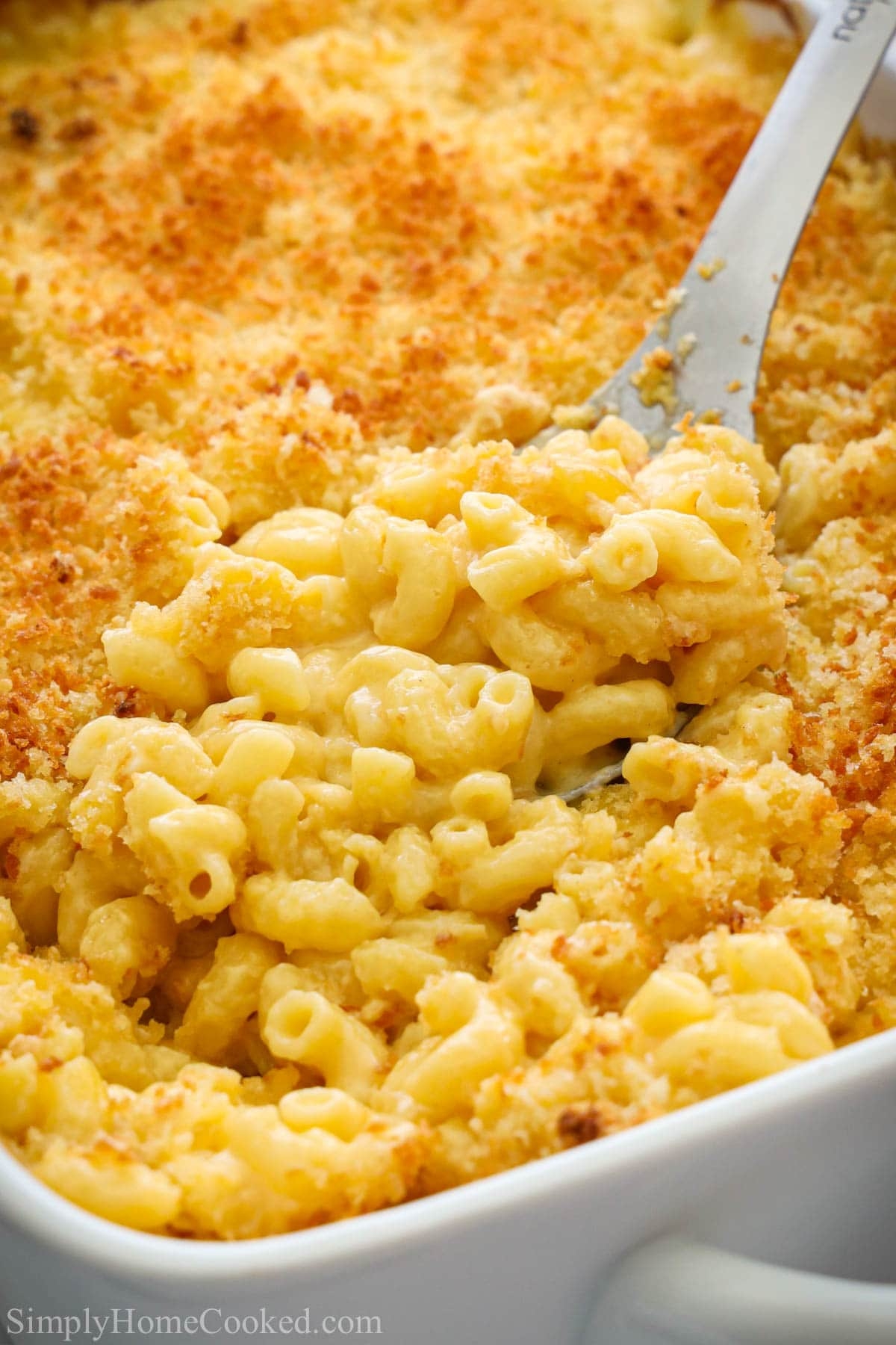 Mac And Cheese Recipe Simply Home Cooked Mac And Cheese Recipe Simply Home Cooked