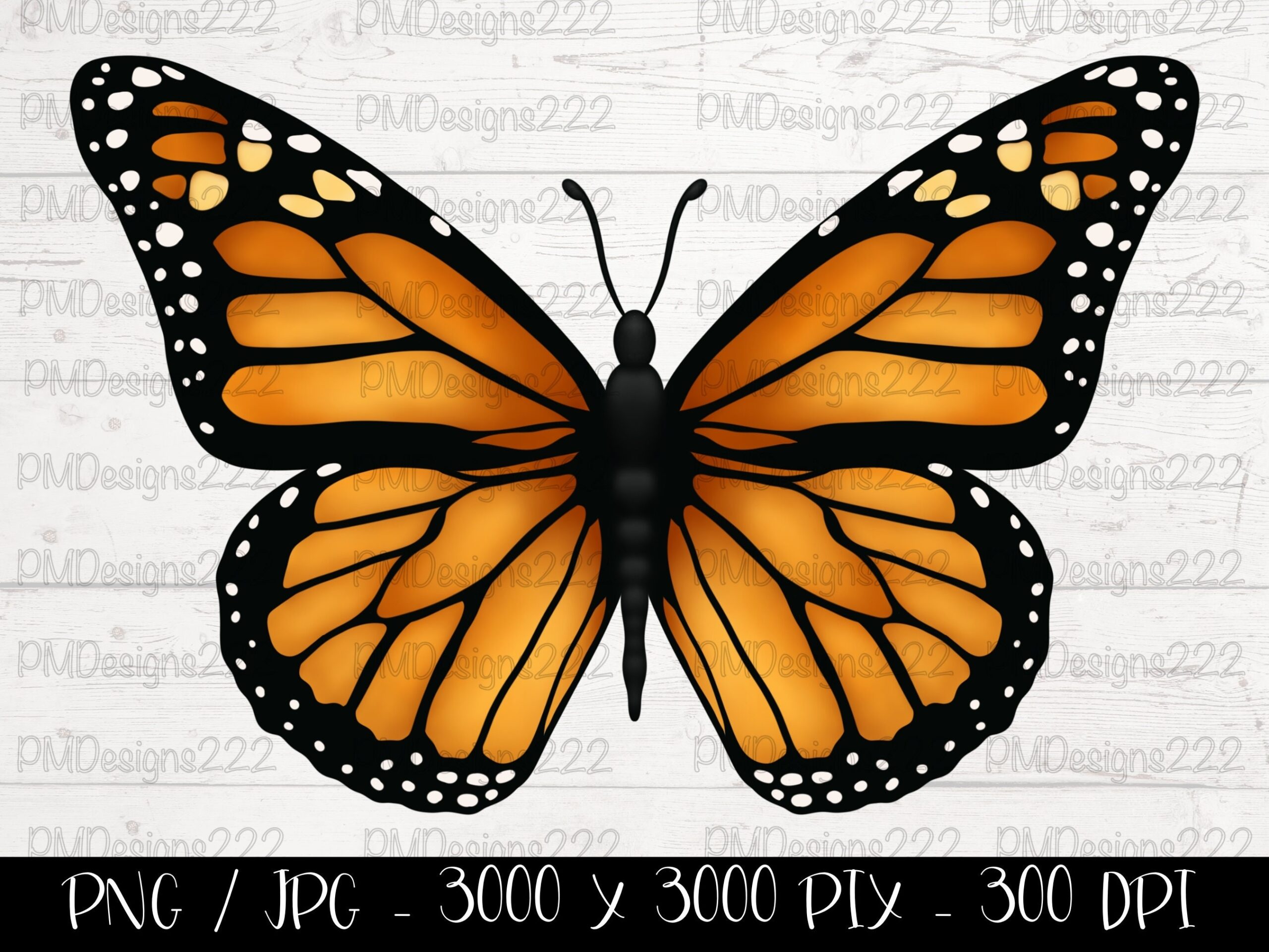 Monarch Butterfly Png Butterfly Png Butterfly Clipart Butterfly  Monarch Butterfly Png Butterfly Png Butterfly Clipart Butterfly