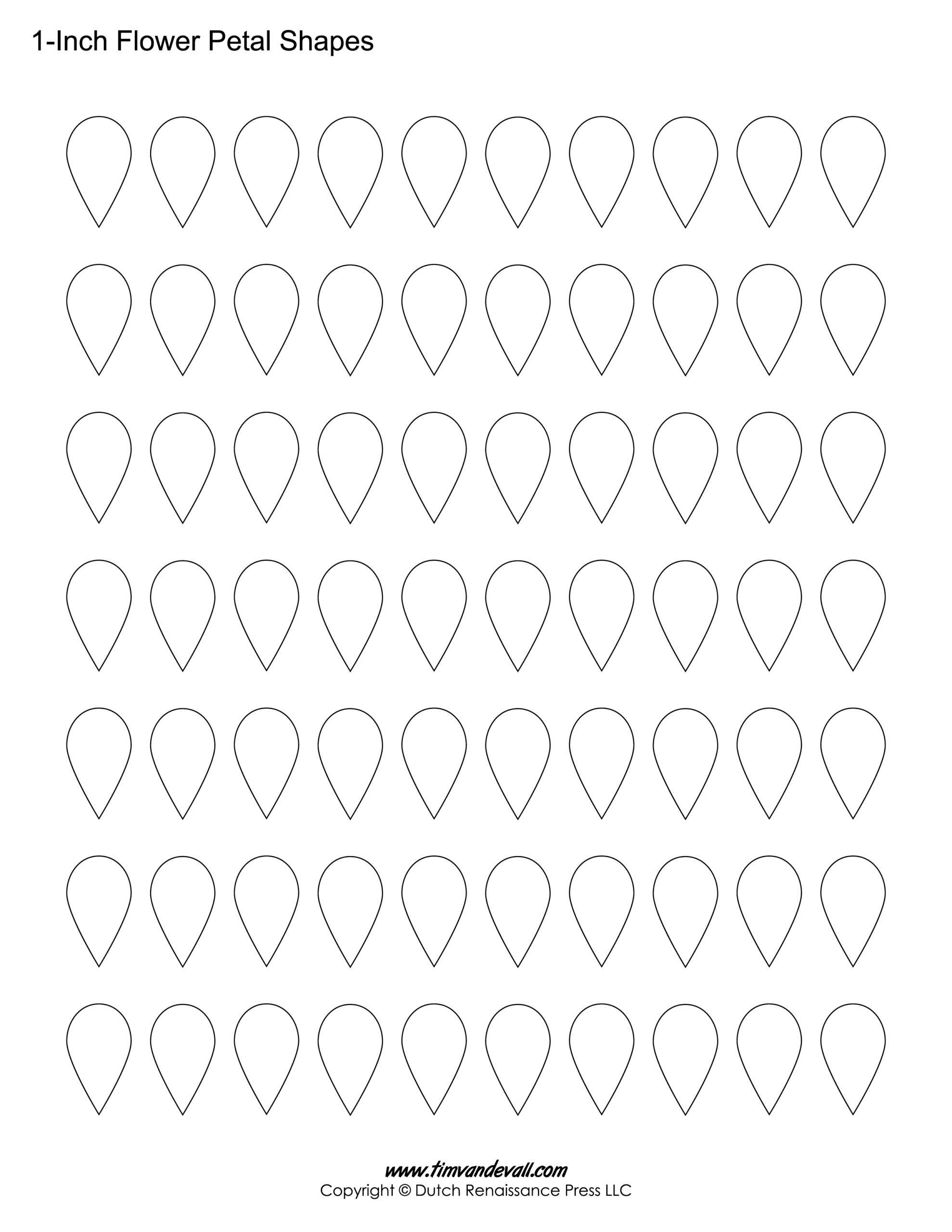 free printable flower different kinds of petal patterns