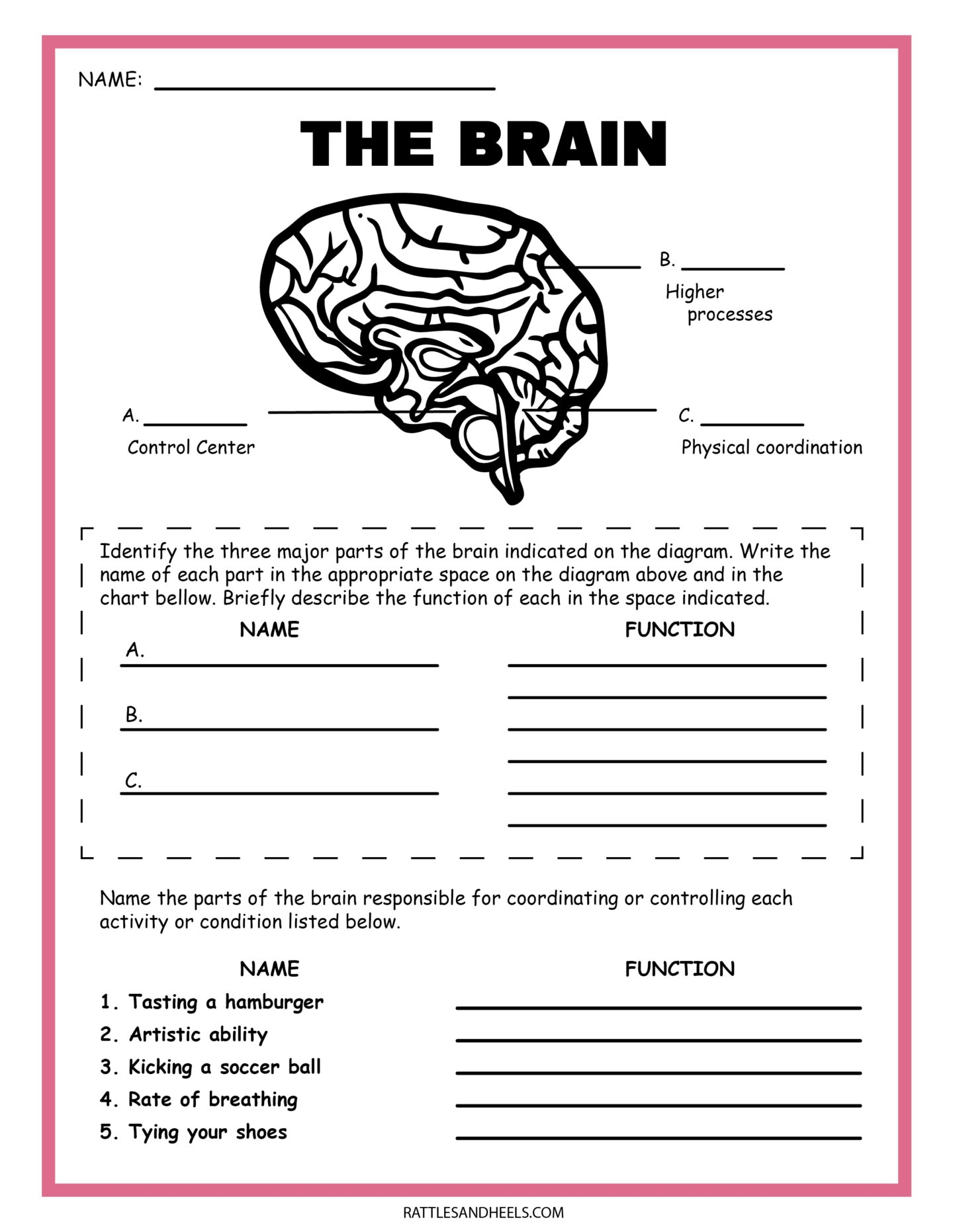 printable science worksheets