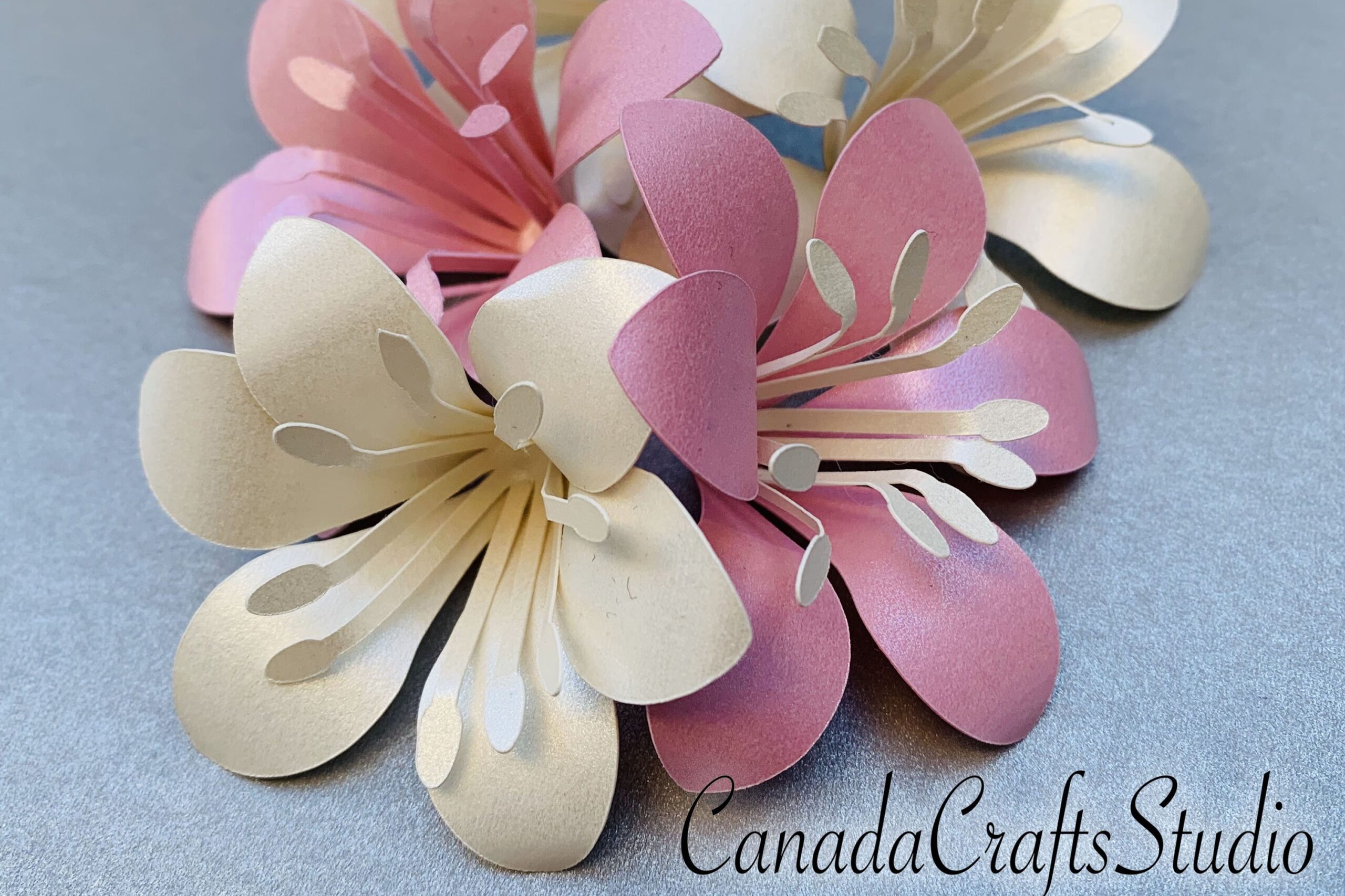 Small Paper Flower Lily Template 1291415 