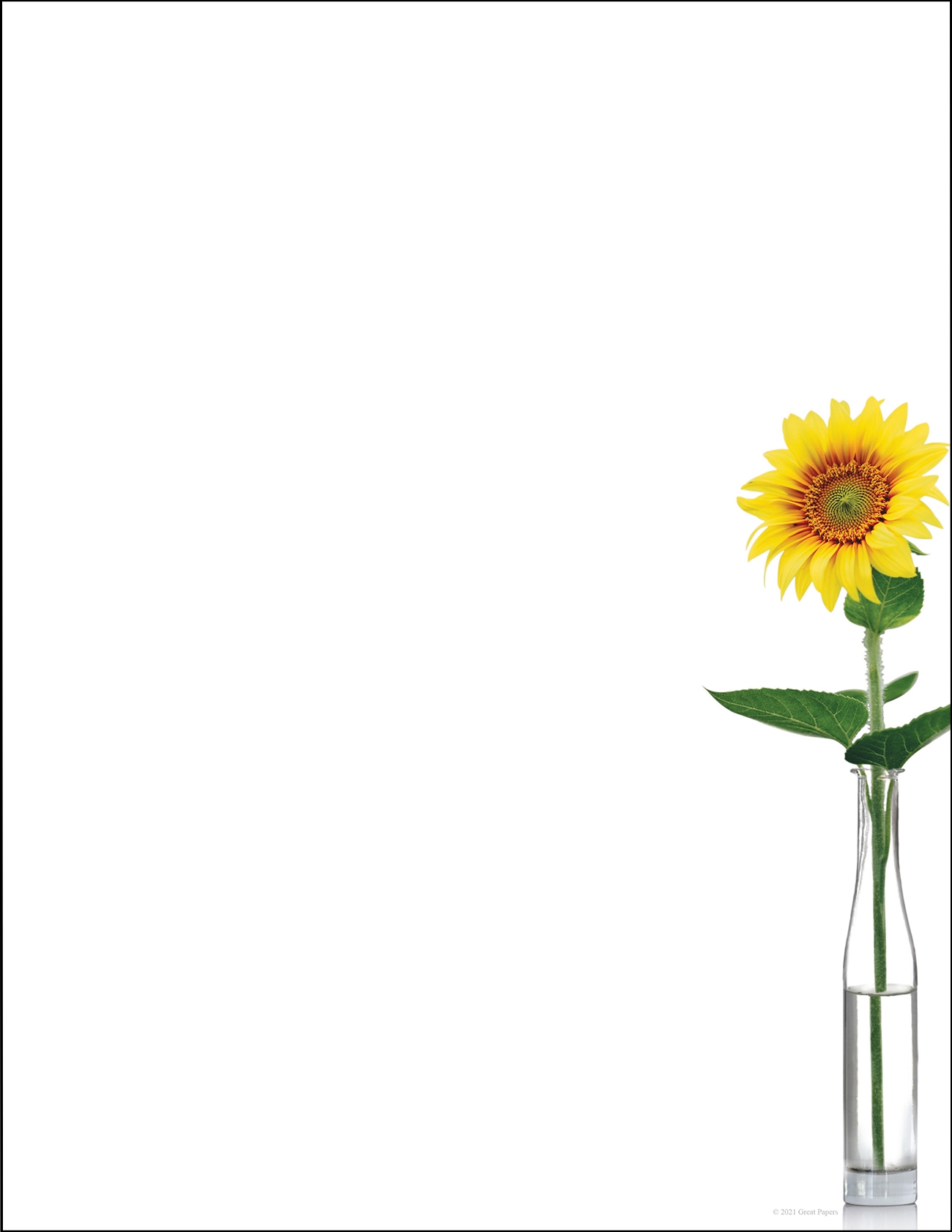 Sunflower Day 80 Count 2020148 Designer Papers Decorative  Sunflower Day 80 Count 2020148 Designer Papers Decorative