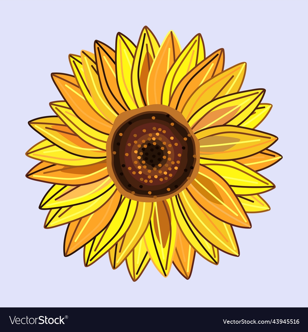 Sunflower2 Royalty Free Vector Image VectorStock