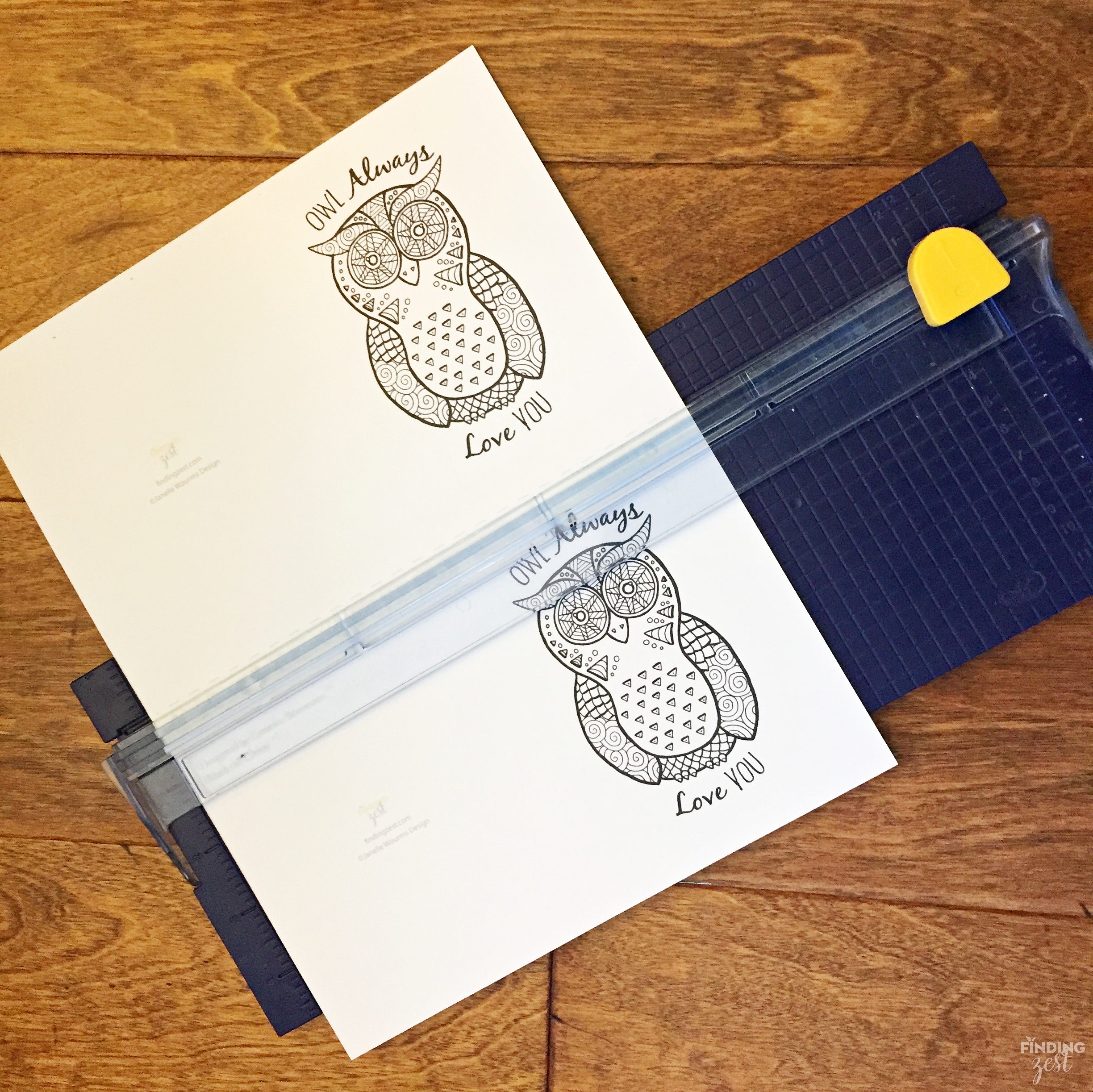 Valentine Cards Printable Owl Coloring Page Finding Zest