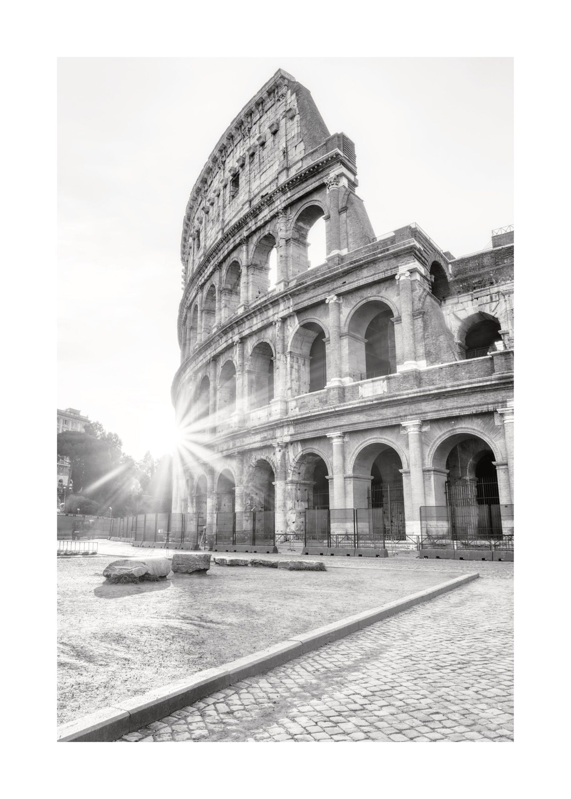 Visit Colosseum Print Black U0026 White Rome Poster Desenio