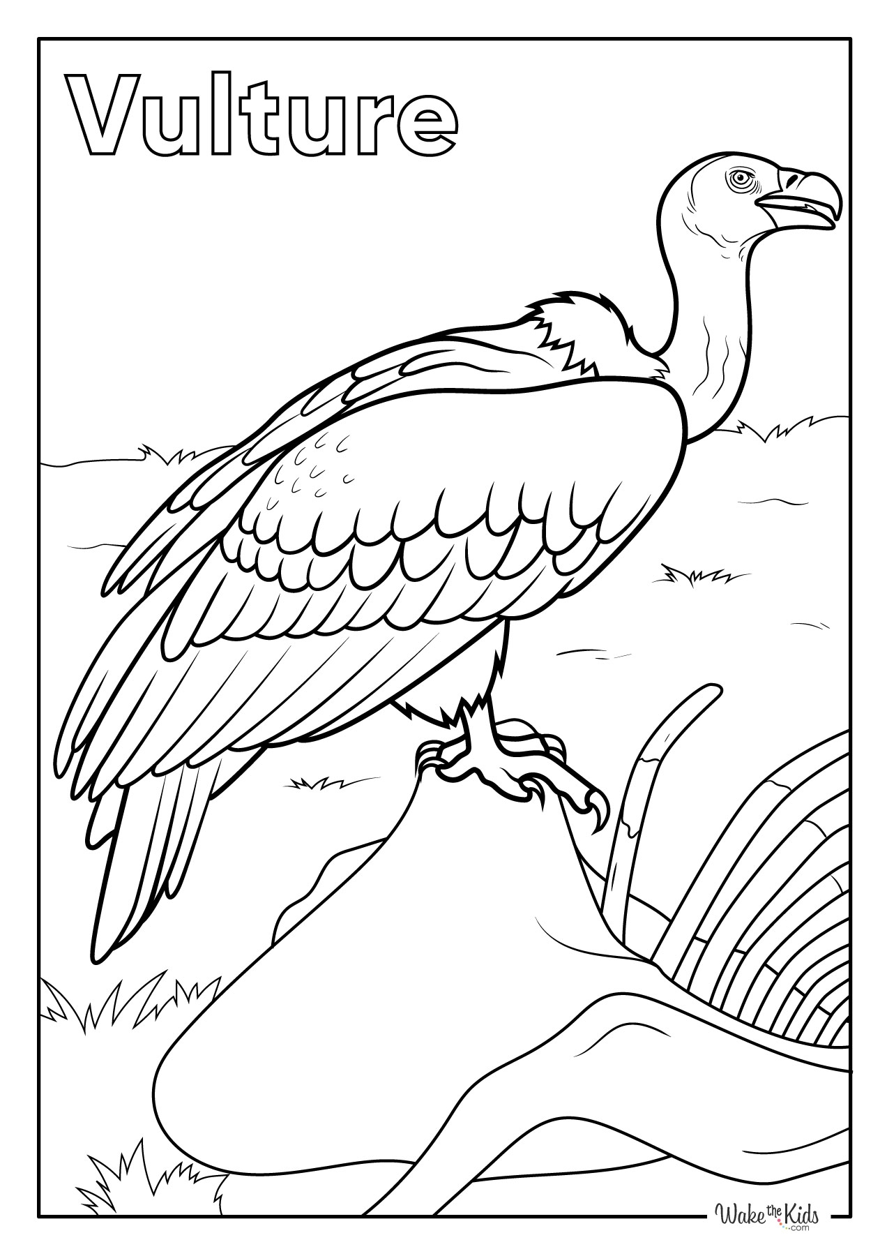 Vulture Coloring Pages Free Printable PDFs WakeTheKids Vulture Coloring Pages Free Printable PDFs WakeTheKids