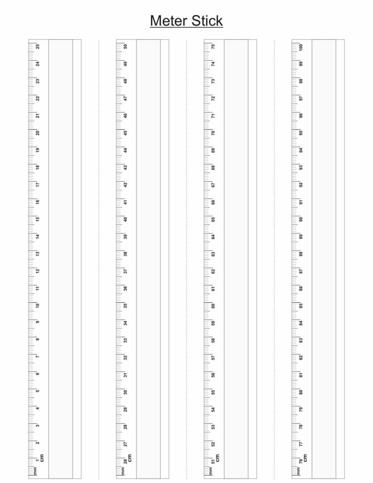 WOUND MEASURE RULER Paper Sheet English A4 Recto Worksheets Library