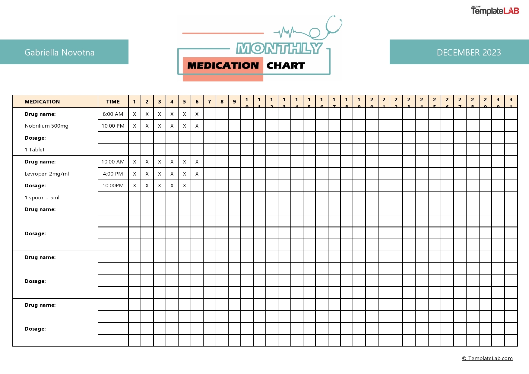 40 Great Medication Schedule Templates Medication Calendars  40 Great Medication Schedule Templates Medication Calendars