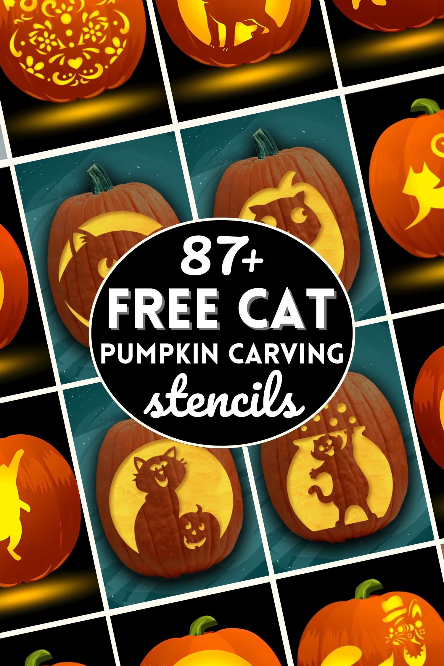 87 Free Cat Pumpkin Carving Stencils The Ultimate List  87 Free Cat Pumpkin Carving Stencils The Ultimate List