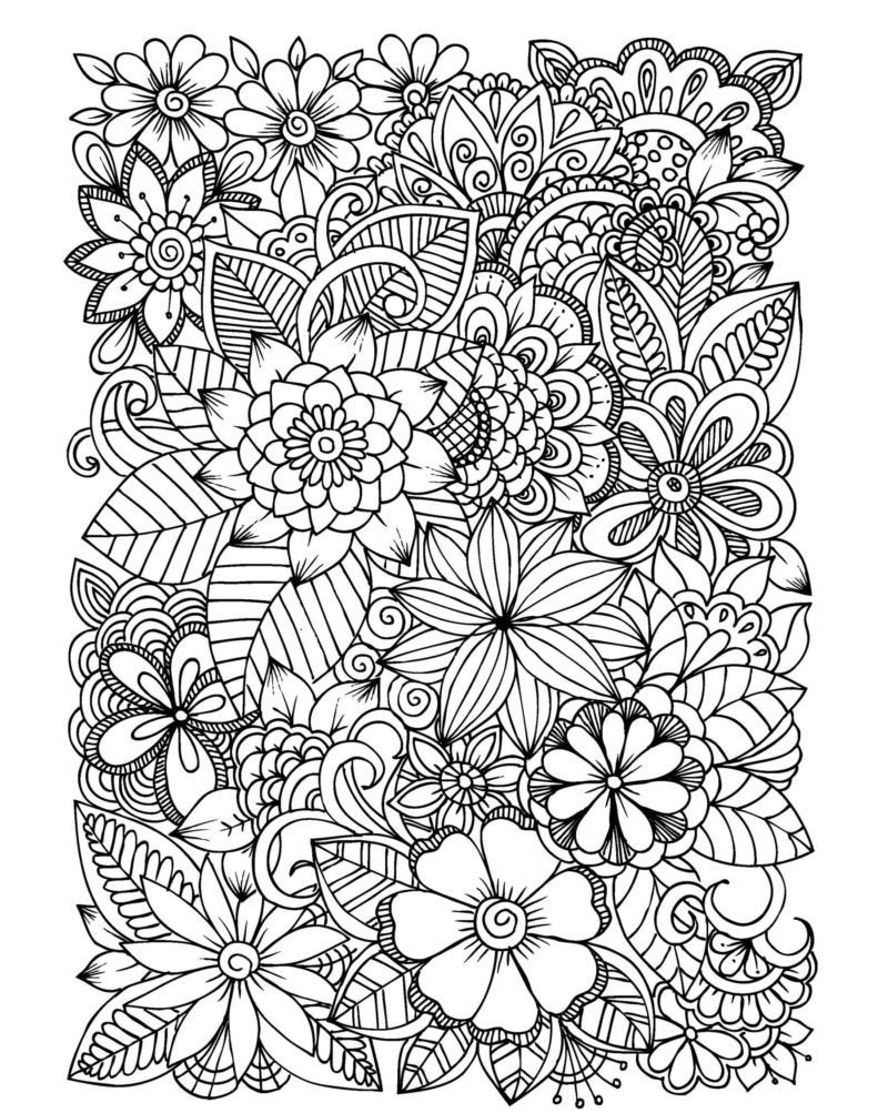 flower colouring pages printable flower colouring pages printable