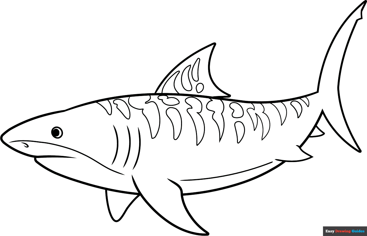 shark coloring pages printable shark coloring pages printable