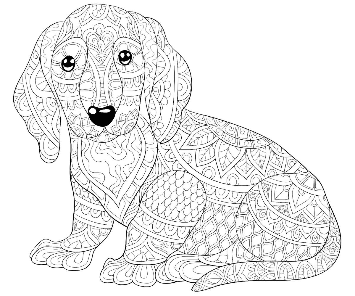 free dog coloring pages printable