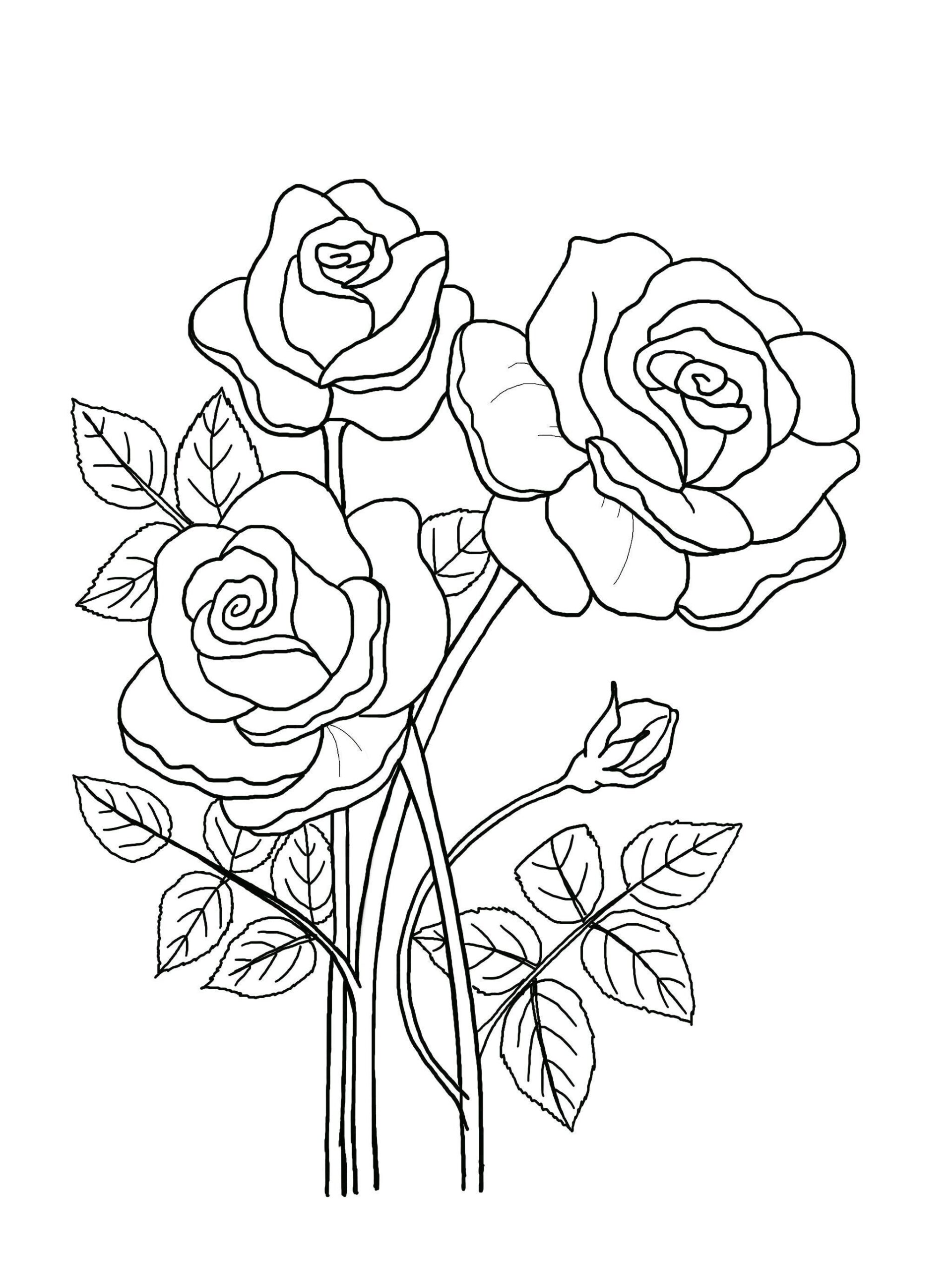 Printable Floral Coloring Sheets Coloring Pages Adult Coloring Pages Kids Coloring Pages Coloring Flowers Etsy Israel Printable Floral Coloring Sheets Coloring Pages Adult Coloring Pages Kids Coloring Pages Coloring Flowers Etsy Israel
