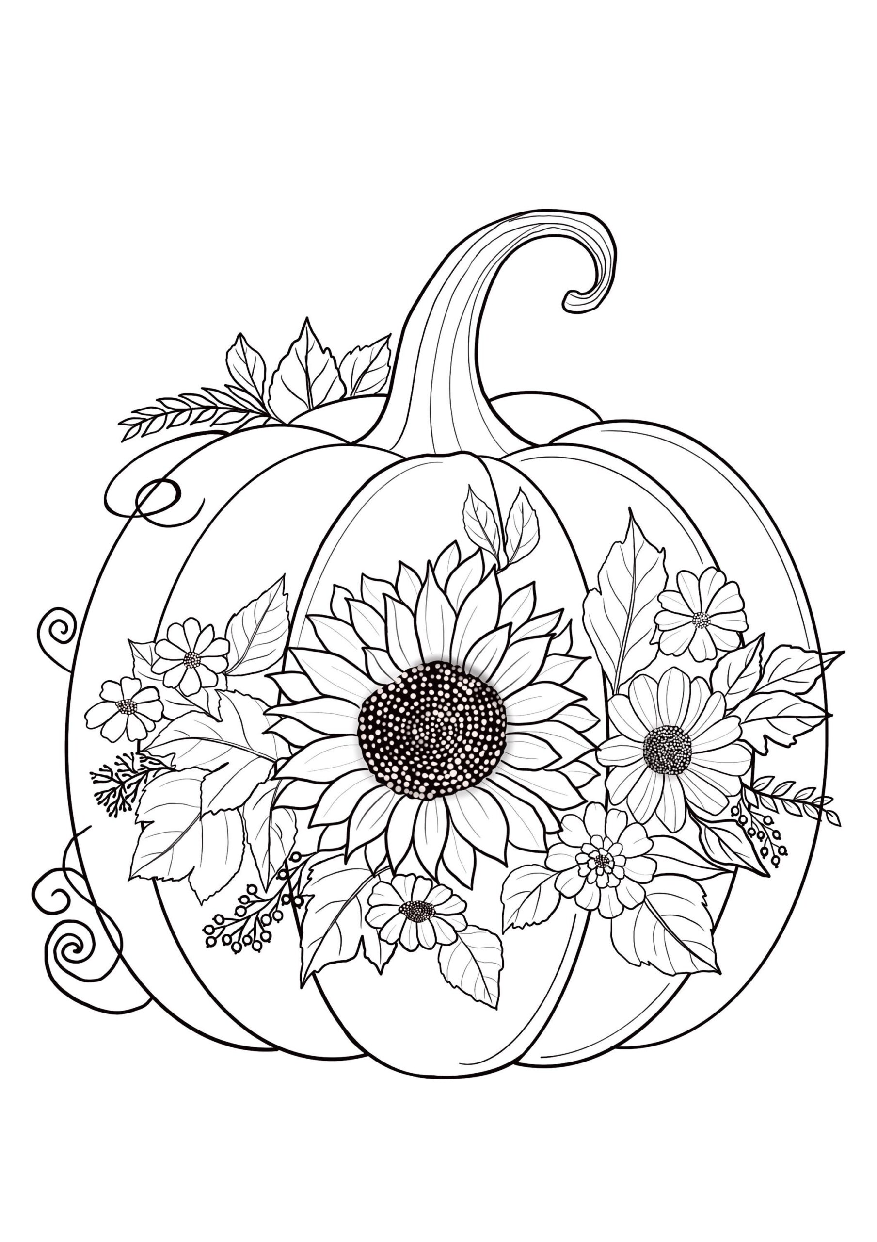 Printable Pumpkin Coloring Sheets With Flowers Coloring Pages Adult Coloring Pages Kids Coloring Pages Coloring Autumn Leaves Etsy Printable Pumpkin Coloring Sheets With Flowers Coloring Pages Adult Coloring Pages Kids Coloring Pages Coloring Autumn Leaves Etsy