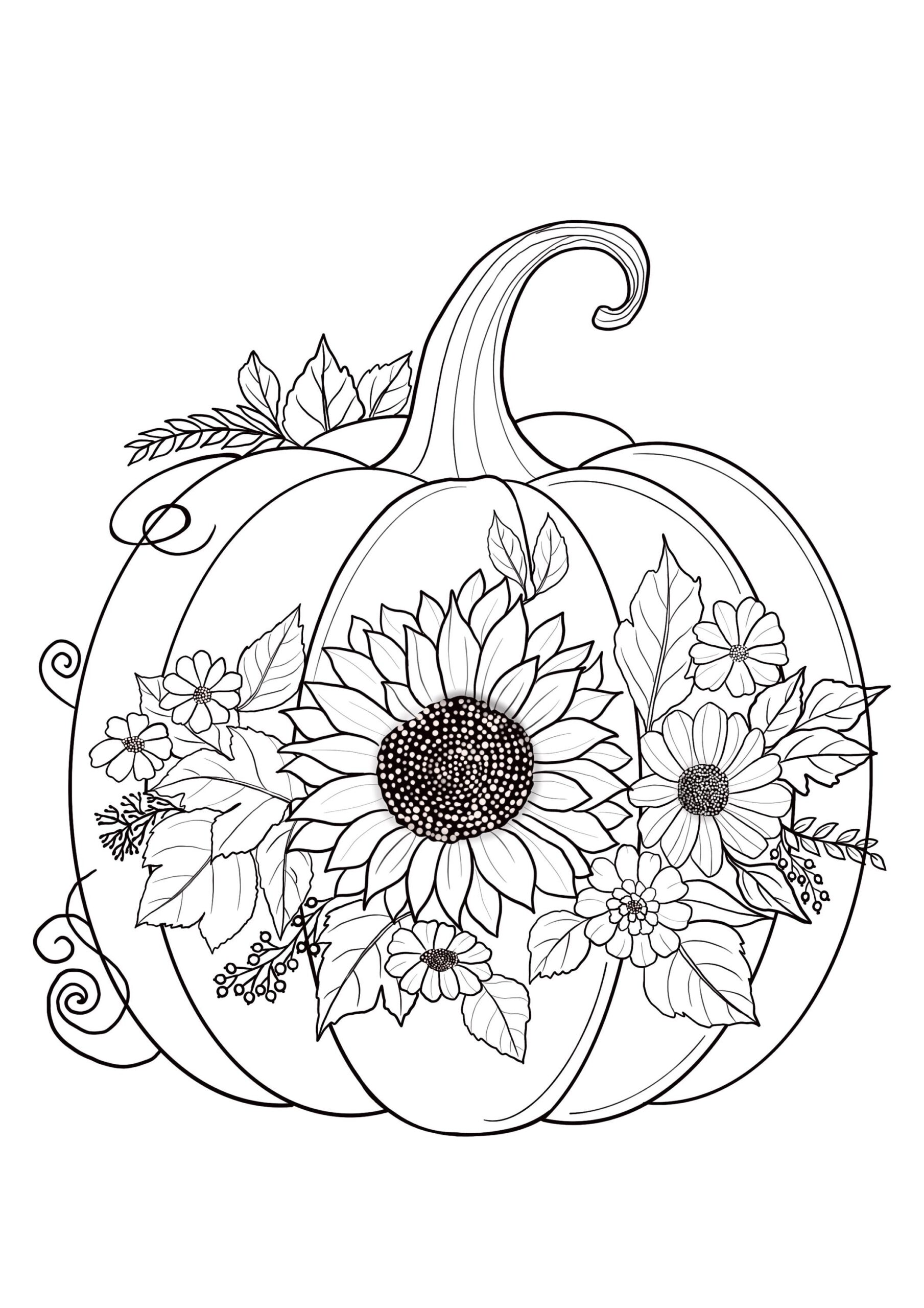 Printable Pumpkin Coloring Sheets With Flowers Coloring Pages Adult Coloring Pages Kids Coloring Pages Coloring Autumn Leaves Etsy Printable Pumpkin Coloring Sheets With Flowers Coloring Pages Adult Coloring Pages Kids Coloring Pages Coloring Autumn Leaves Etsy