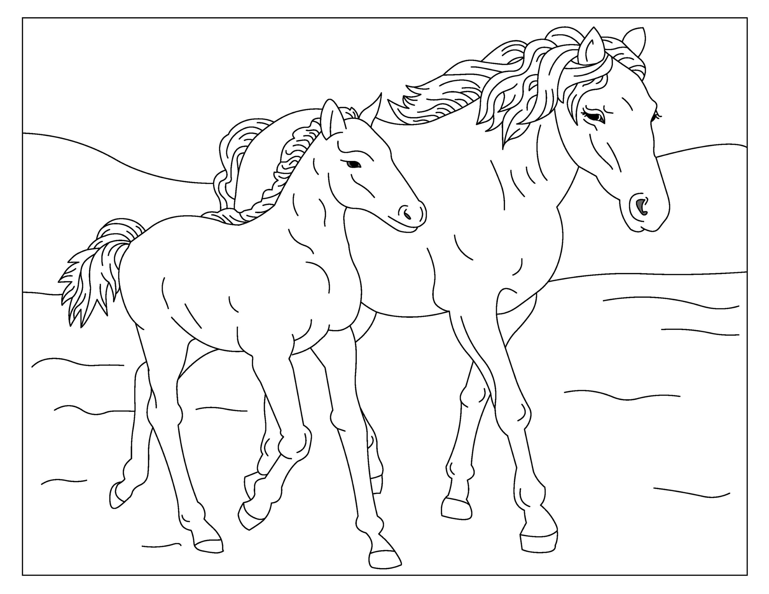 Wild Horses 2 32 Printable Coloring Pages Horse Coloring Book Instant Download PDF Etsy